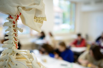 Skelettraum